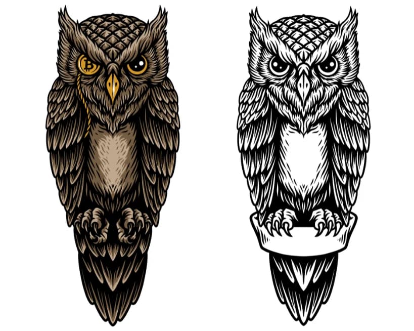 Vector art conversion sample